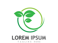 Natural green leaf logo design.