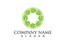 Green leaf logo Vector