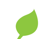 Leaf logo vector icon design template