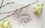 Flower Iceland Calligraphy Font
