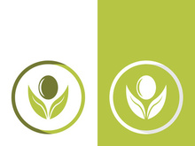 olive icon vector illustration design template