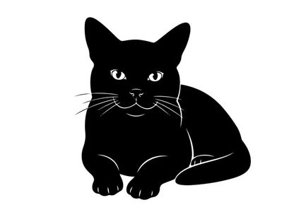 Black cat silhouette with piercing eyes and whiskers on white background