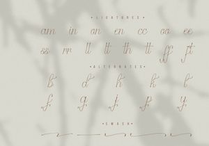 Stelaroy | Stylish Signature