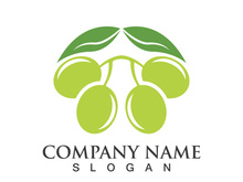 Extra virgin olive oil logo icon design vector illustration