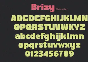 Brizy - Display Sans