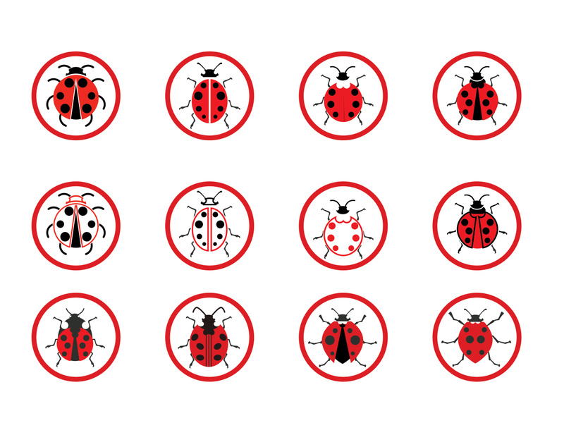 ladybird animal  vector logo symbol icon