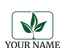 Green leaf logo design vector illustration