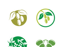 Extra virgin olive oil logo icon design vector illustration