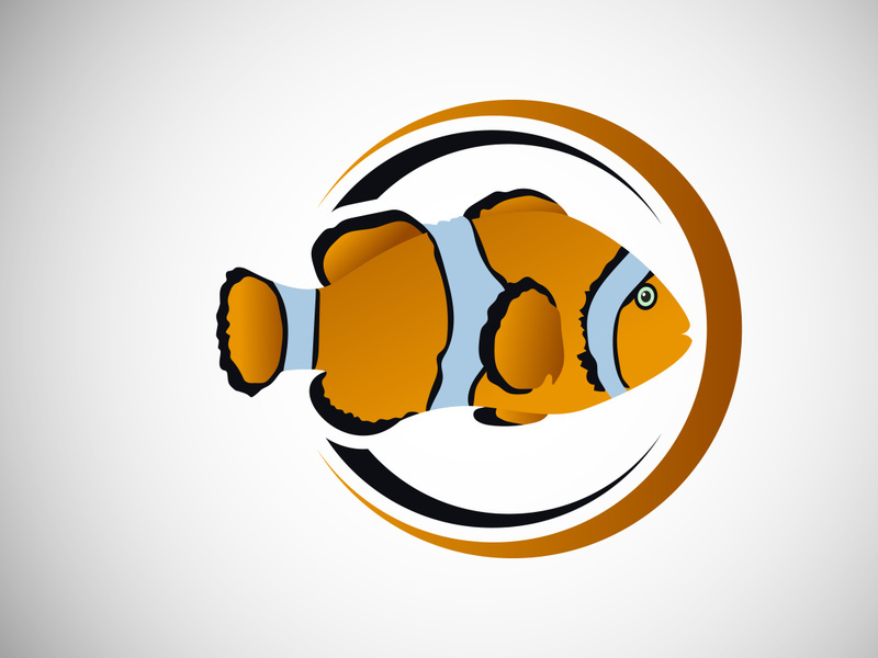 Clownfish in a circle. Fish logo design template. Seafood restaurant shop Logotype concept icon.