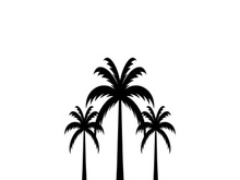 Palm tree summer logo design with creative ideas.