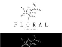 Elegant floral and leaf frame. Delicate botanical vector illustration for labels, spas, corporate identity, and wedding invitations