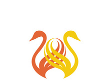 Swan logo Premium and symbol Vector