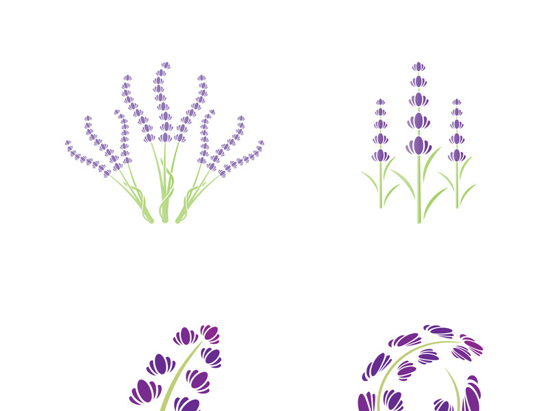 Fresh lavender flower logo vector flat design