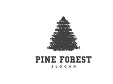 Forest Logo, Vector Forest Wood With Pine Trees Design
