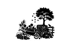 Silhouette of a tree and wheelbarrow in a garden
