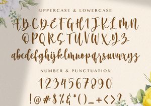 Anghine Darma - Modern Script Font