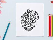 Stylized pine cone illustration. Artistic botanical drawing for nature themes