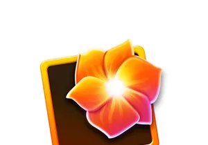 Creative Cloud Icons