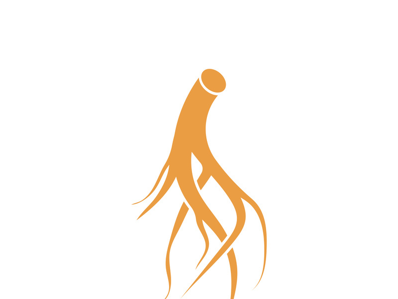 Ginseng logo design template and symbol icon vector illustration