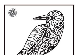 6 Bird Coloring Book Pages KDP Interior.
