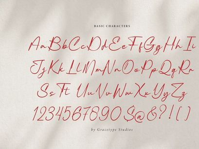Pelagrium | Handwritten Script