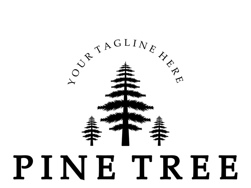 simple pine or fir tree logo,evergreen.for pine forest,adventurers,camping,nature,badges and business.vector