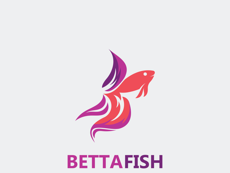 Betta fish modern logo style design vector image illustration