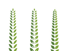 Logos of green Tree leaf ecology