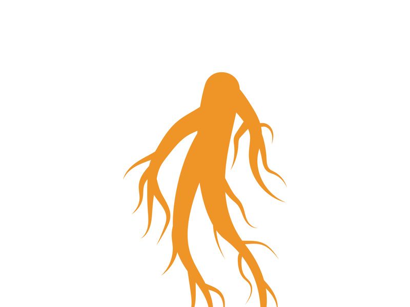 Ginseng logo design template and symbol icon vector illustration