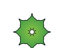 Beauty Vector lotus flowers design logo Template icon