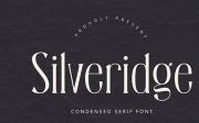 Silveridge - Serif Font