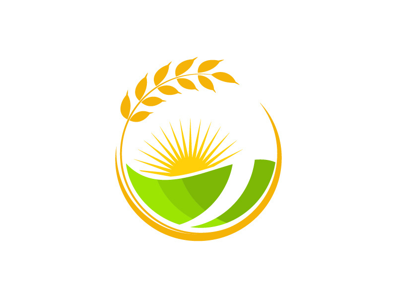 Agriculture wheat rice icon illustration