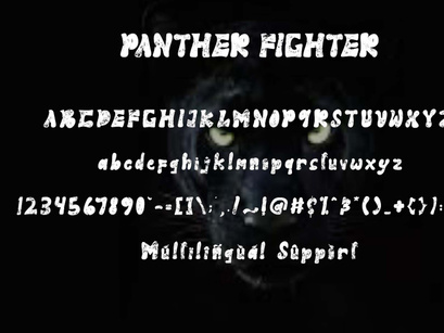 Panther Fighter
