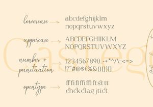 Castego - Elegant Serif
