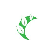 Logos of green tree leaf ecology nature element vector