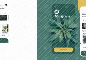 Diseño de app de marihuana medicinal