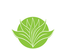 Aloe Vera logo icon design symbol beauty skin care