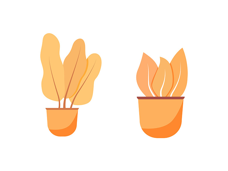 Orange houseplant flat color vector object set