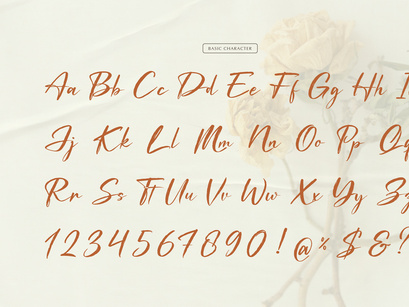 Waiting Cassey | Handwritten Script Font