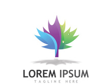 Maple leaf logo design with creative idea