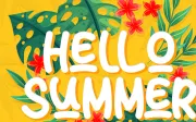 Sun Summer