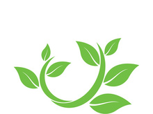 Logos of green tree leaf ecology nature element vector
