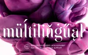 SF Kingston | Free Font