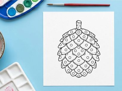 Pine cone line art illustration. Hand drawn botanical sketch of a coniferous seed pod.
