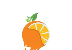 Orange logo design vector icon illustration