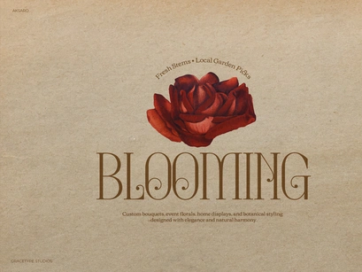 Aksaro | Display Serif Typeface