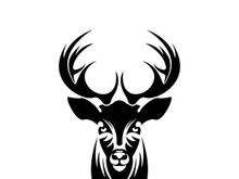 Deer logo template vector icon illustration design