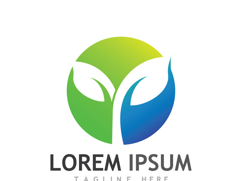 Colorful natural leaf logo design.