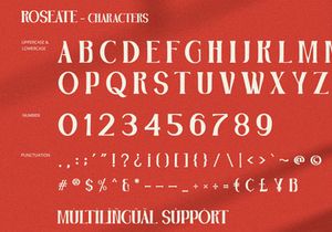 Roseate - Serif Font
