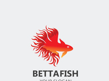 Betta fish modern logo style design vector image illustration